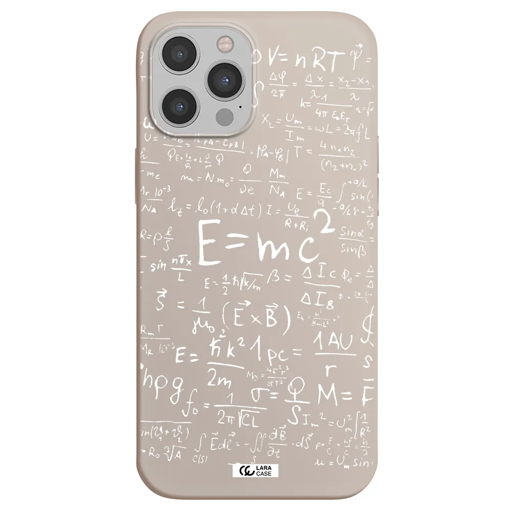 Physics Blackboard Apple iPhone 12 pro Silicone Stone Case