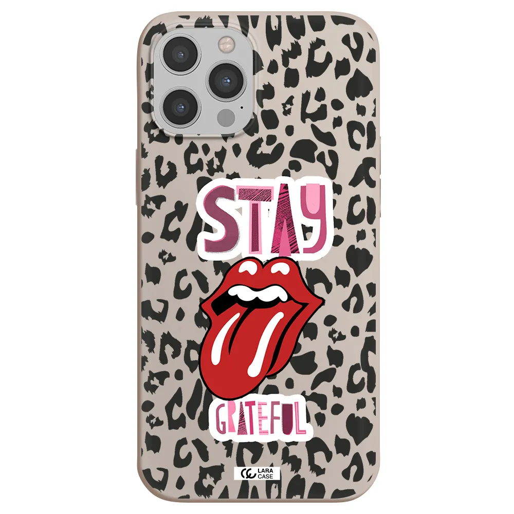The Rolling Stones Apple iPhone 12 pro max Silicone Stone Case