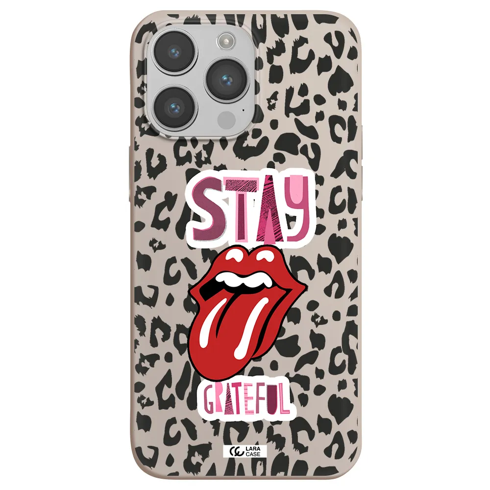 The Rolling Stones Apple iPhone 14 pro max Silicone Stone Case