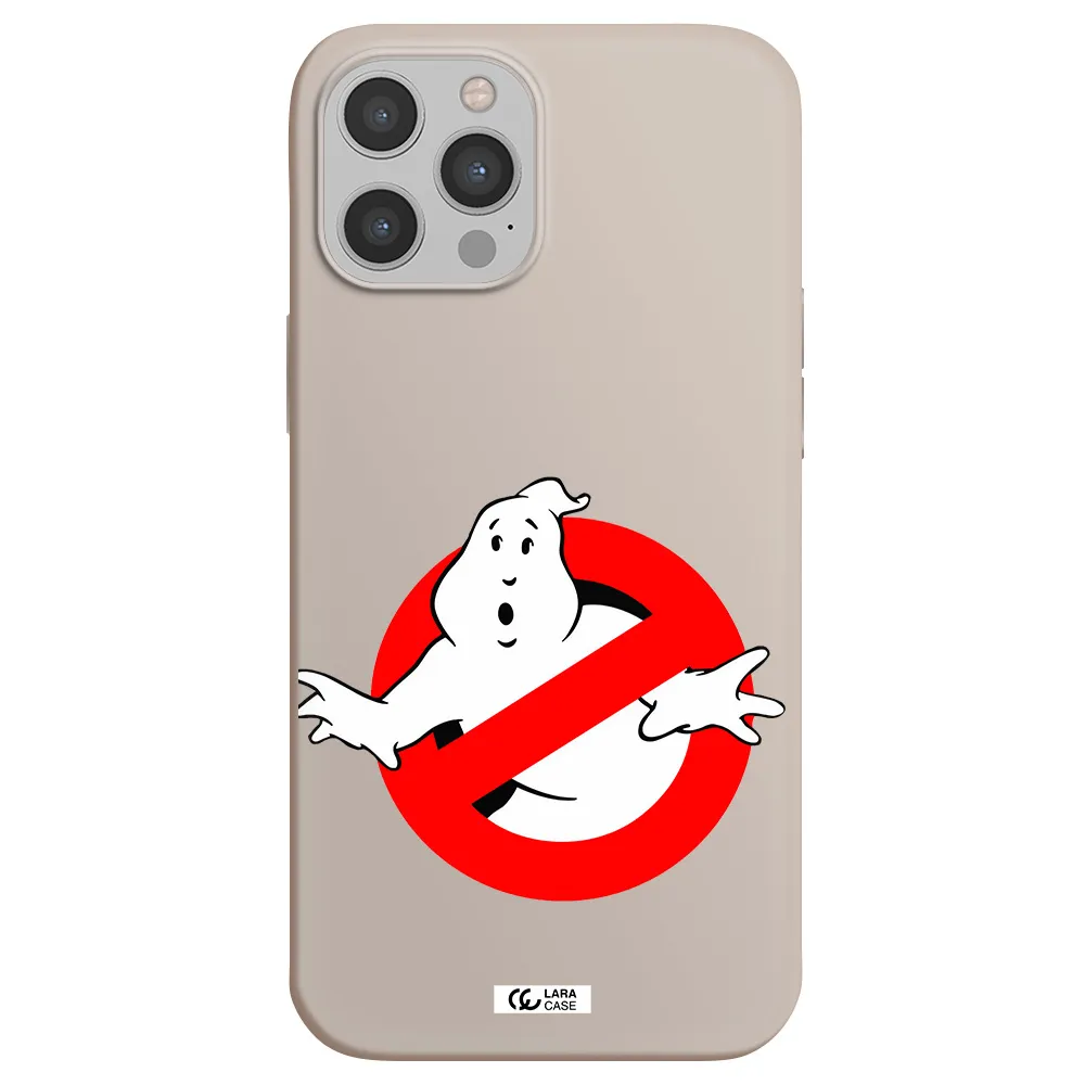 Entry Of Ghosts Is Prohibited Apple iPhone 12 pro max Silicone Stone Case