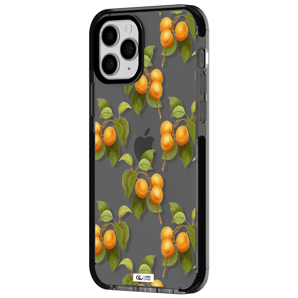 Apricot Apple iPhone 11 pro max impact Smoke Black Case