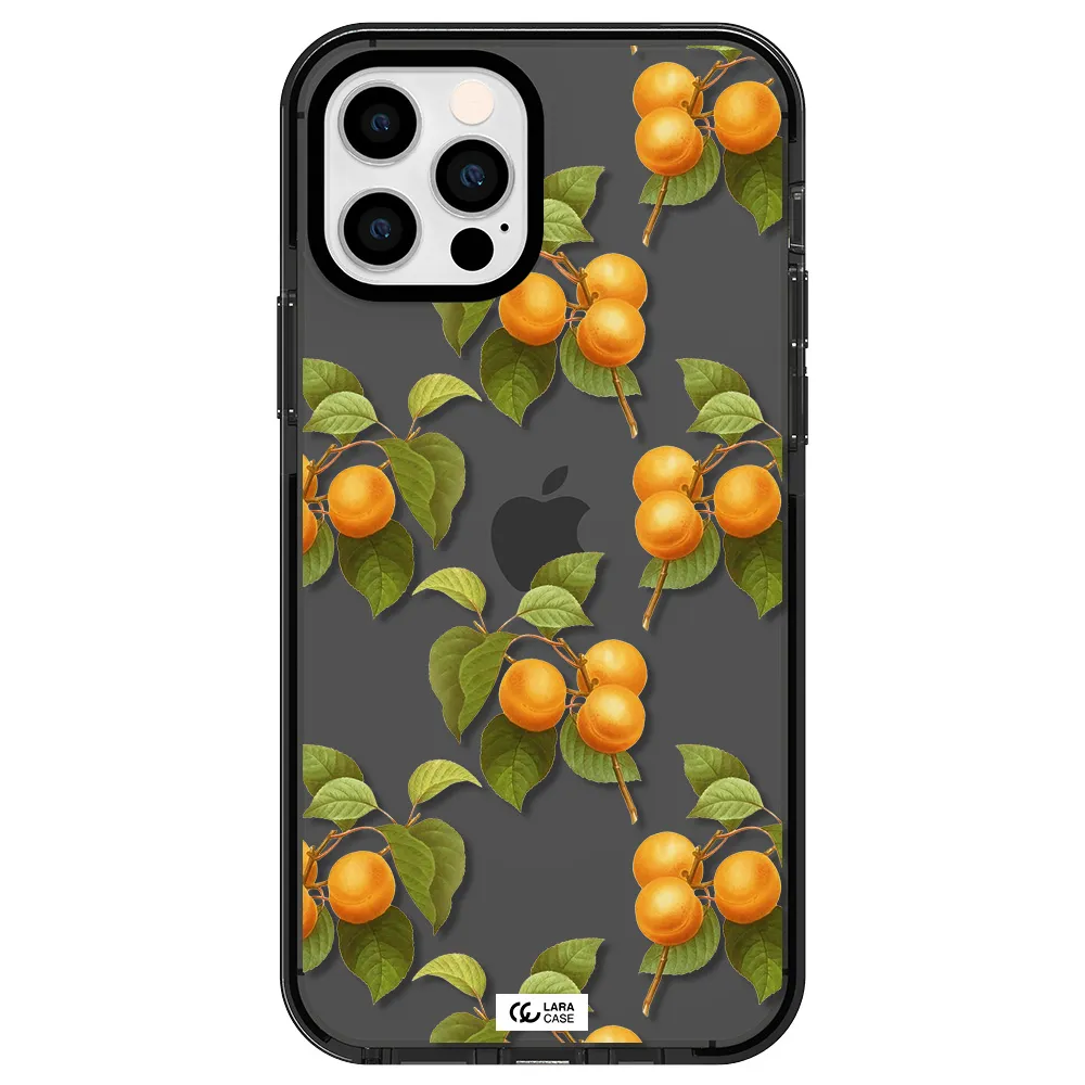 Apricot Apple iPhone 12 pro impact Smoke Black Case