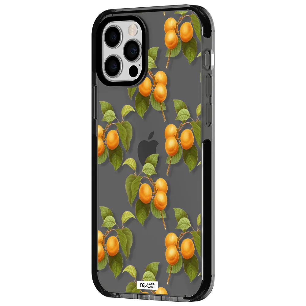 Apricot Apple iPhone 12 pro impact Smoke Black Case