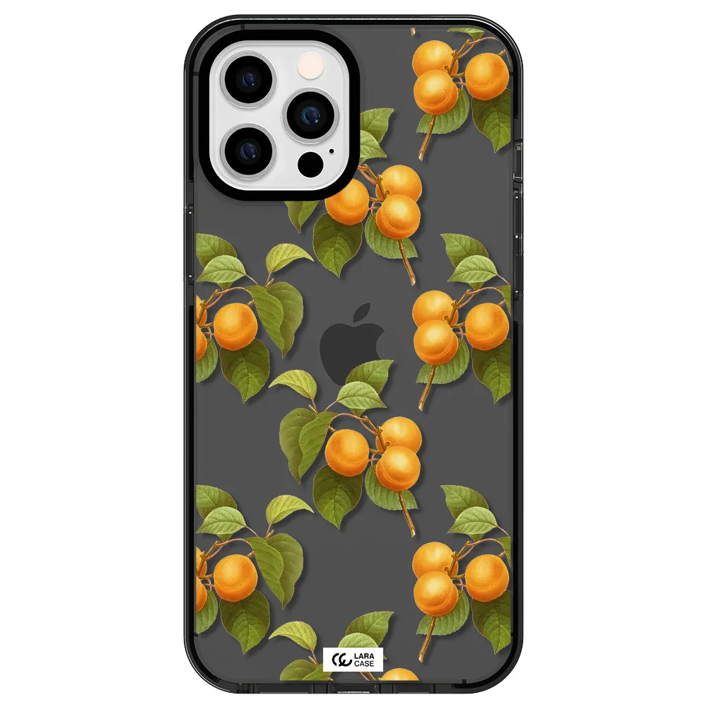 Apricot Apple iPhone 12 pro max impact Smoke Black Case