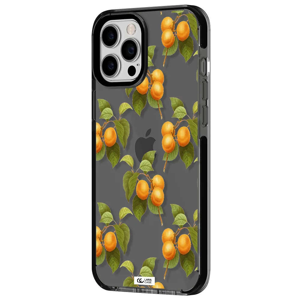 Apricot Apple iPhone 12 pro max impact Smoke Black Case