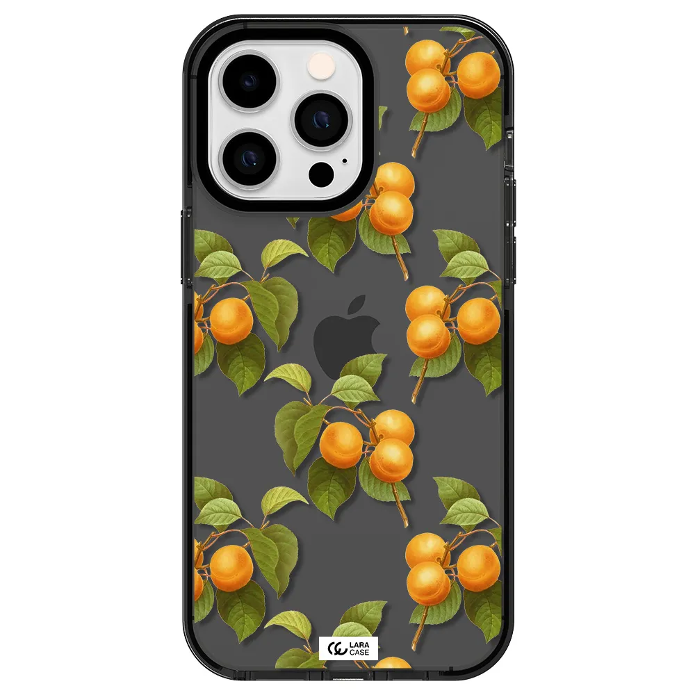 Apricot Apple iPhone 14 pro max impact Smoke Black Case