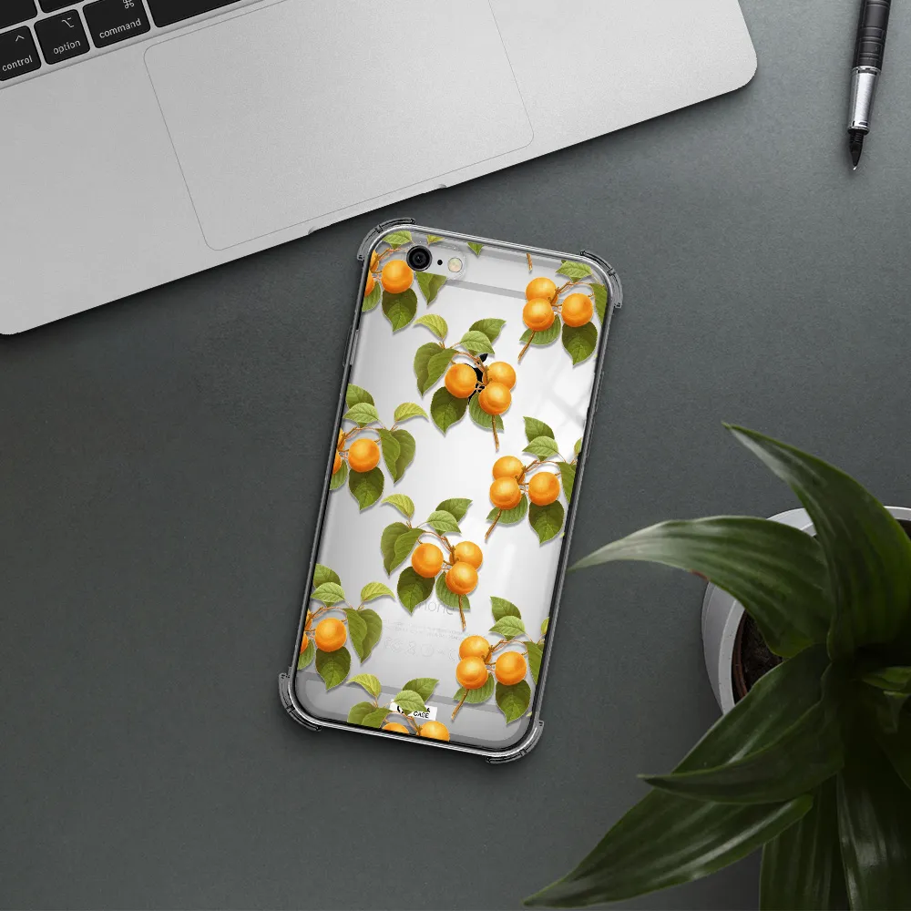 Apricot Apple iPhone 6 Clear PC Case