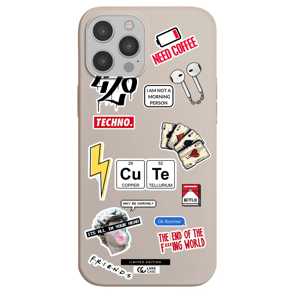 Cute Apple iPhone 12 pro Silicone Stone Case