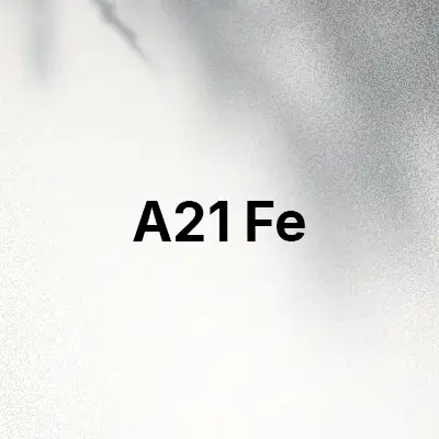 قاب و کاور گوشی A21 Fe