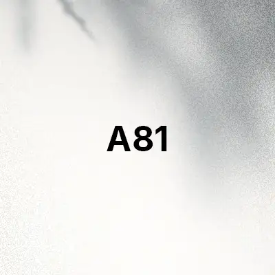 قاب و کاور گوشی A81