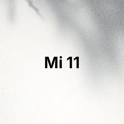 قاب و کاور گوشی Mi 11