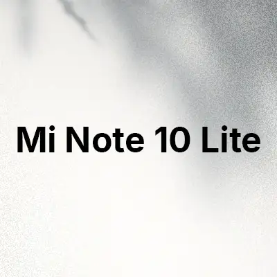 قاب و کاور گوشی Mi Note 10 Lite
