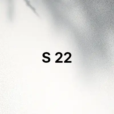 قاب و کاور گوشی S 22