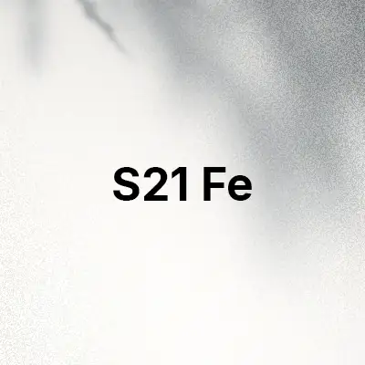 قاب و کاور گوشی S21 Fe