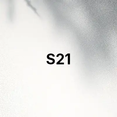 قاب و کاور گوشی S21