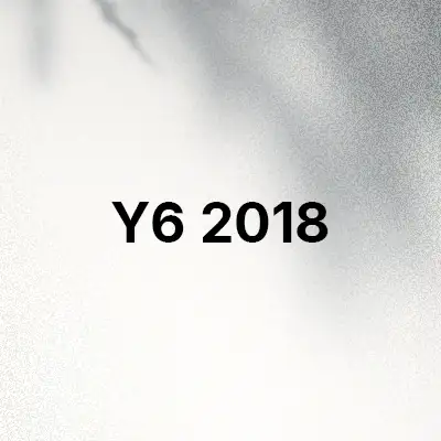 قاب و کاور گوشی Y6 2018