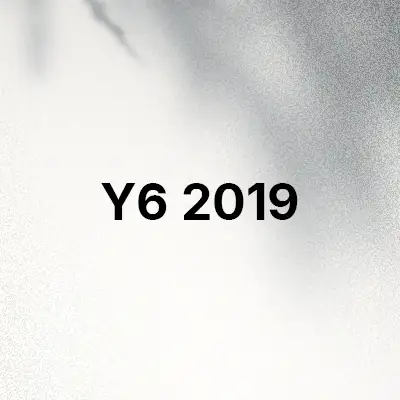 قاب و کاور گوشی Y6 2019