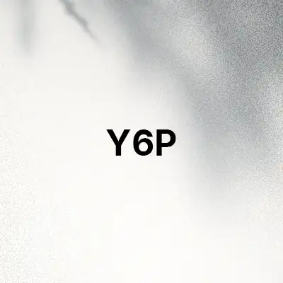 قاب و کاور گوشی Y6P