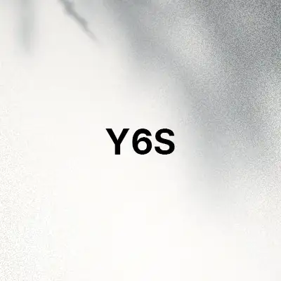 قاب و کاور گوشی Y6S